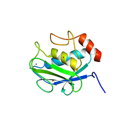 BU of 1cgf by Molmil