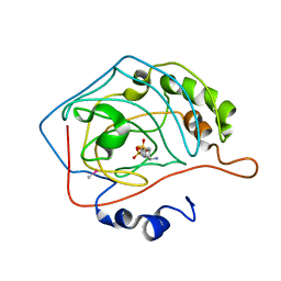 BU of 1cim by Molmil