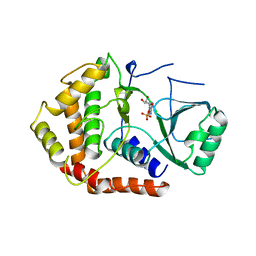 BU of 1cja by Molmil