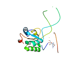 AU of 1ck8 by Molmil