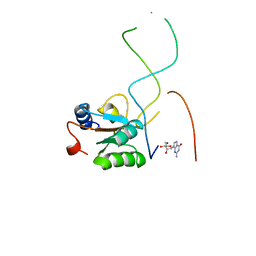 AU of 1cn8 by Molmil