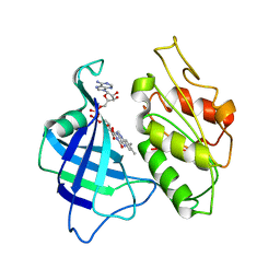 AU of 1cnd by Molmil