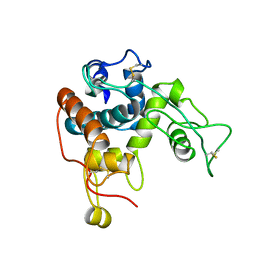 BU of 1cns by Molmil