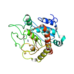 AU of 1cpa by Molmil