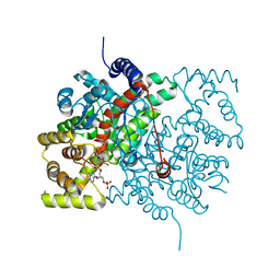 BU of 1csc by Molmil