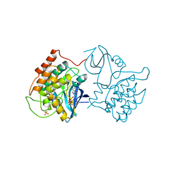 BU of 1csn by Molmil