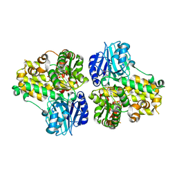 BU of 1ct9 by Molmil