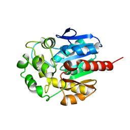 BU of 1cv2 by Molmil