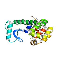 BU of 1cv5 by Molmil