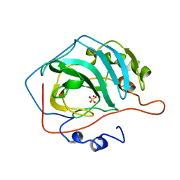 BU of 1cvb by Molmil