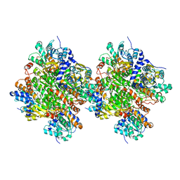 AU of 1d4g by Molmil