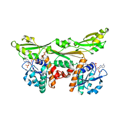 BU of 1dap by Molmil