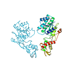 BU of 1db3 by Molmil