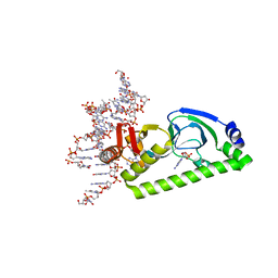 AU of 1db8 by Molmil