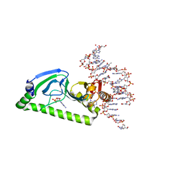 AU of 1db9 by Molmil