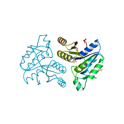 BU of 1dbs by Molmil