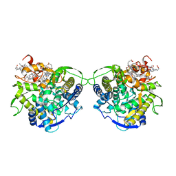 AU of 1ddc by Molmil