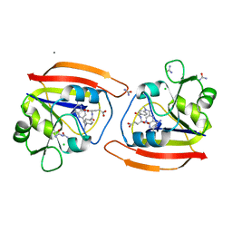 BU of 1ddr by Molmil