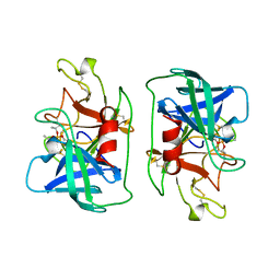 BU of 1dfp by Molmil