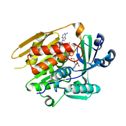 AU of 1dgy by Molmil