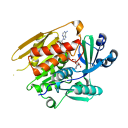 AU of 1dh0 by Molmil