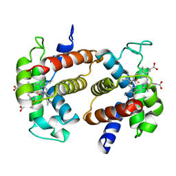 AU of 1dhb by Molmil