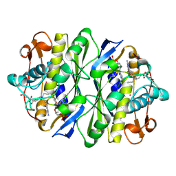 BU of 1dna by Molmil