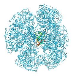 BU of 1dpd by Molmil