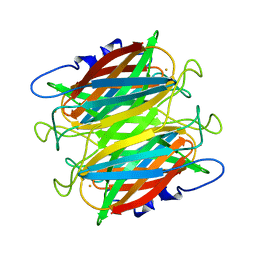 BU of 1dqi by Molmil