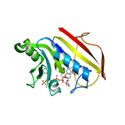 BU of 1dr1 by Molmil