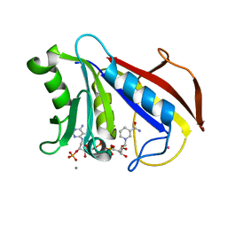 BU of 1dr5 by Molmil