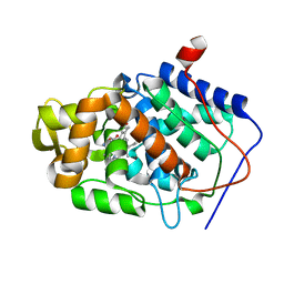 BU of 1dsp by Molmil