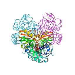 BU of 1dss by Molmil