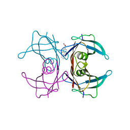 BU of 1dvt by Molmil