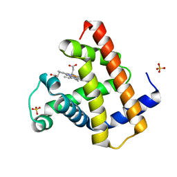 BU of 1dwt by Molmil