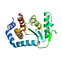 AU of 1dyv by Molmil