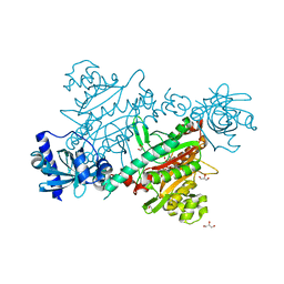 BU of 1e22 by Molmil