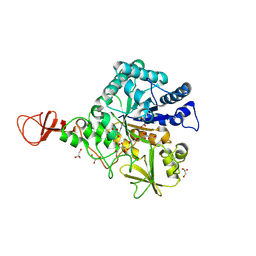 BU of 1e6p by Molmil