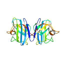 BU of 1e9q by Molmil