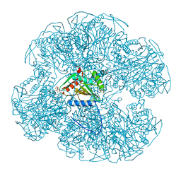 BU of 1eab by Molmil