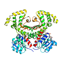 BU of 1ebf by Molmil