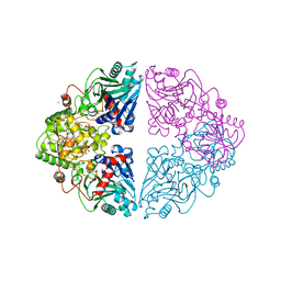 BU of 1ecc by Molmil