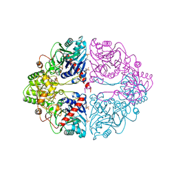 BU of 1ecg by Molmil