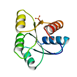 BU of 1ehc by Molmil