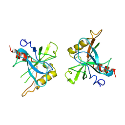 AU of 1eip by Molmil
