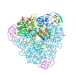 BU of 1ejw by Molmil