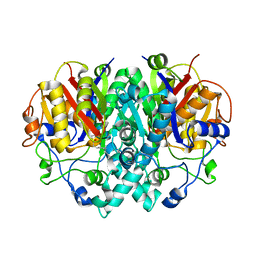 BU of 1ek4 by Molmil