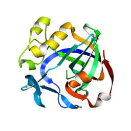 AU of 1eng by Molmil