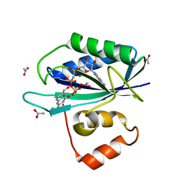 AU of 1eqo by Molmil