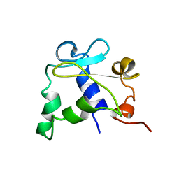 AU of 1etd by Molmil